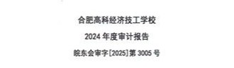 合肥高科经济技工学校2024年度财务审计工作报告