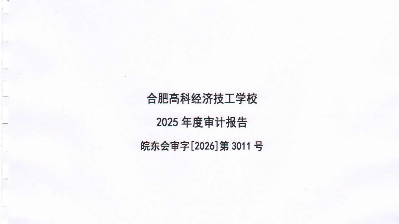 合肥高科经济技工学校2025年度财务审计报告